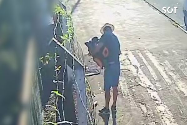 Imagem referente a notícia: Canário é furtado de agropecuária na Avenida Tancredo Neves em Cascavel