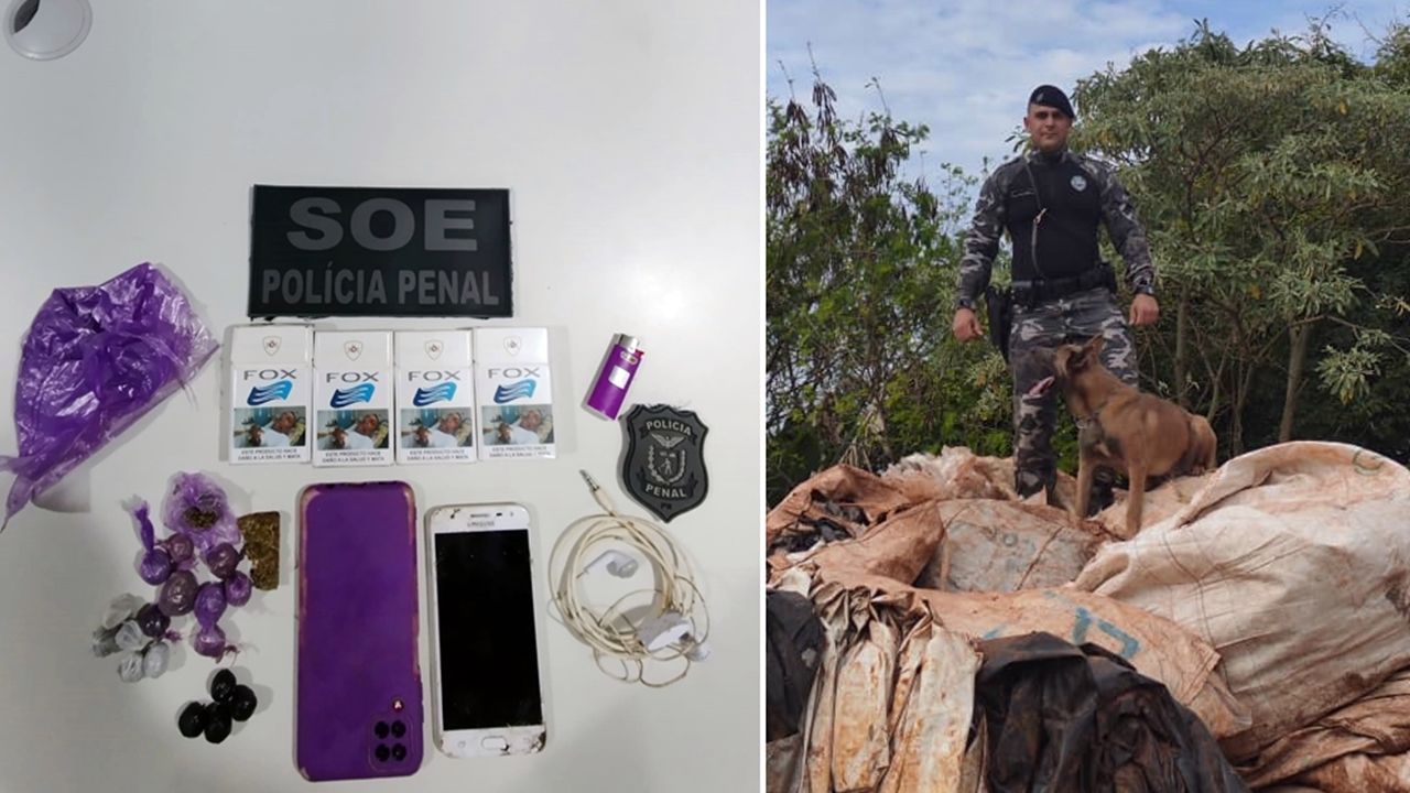 SOE, Pelotão de Choque e K9 desmantelam esquema de tráfico no núcleo industrial da BR-277 em Cascavel