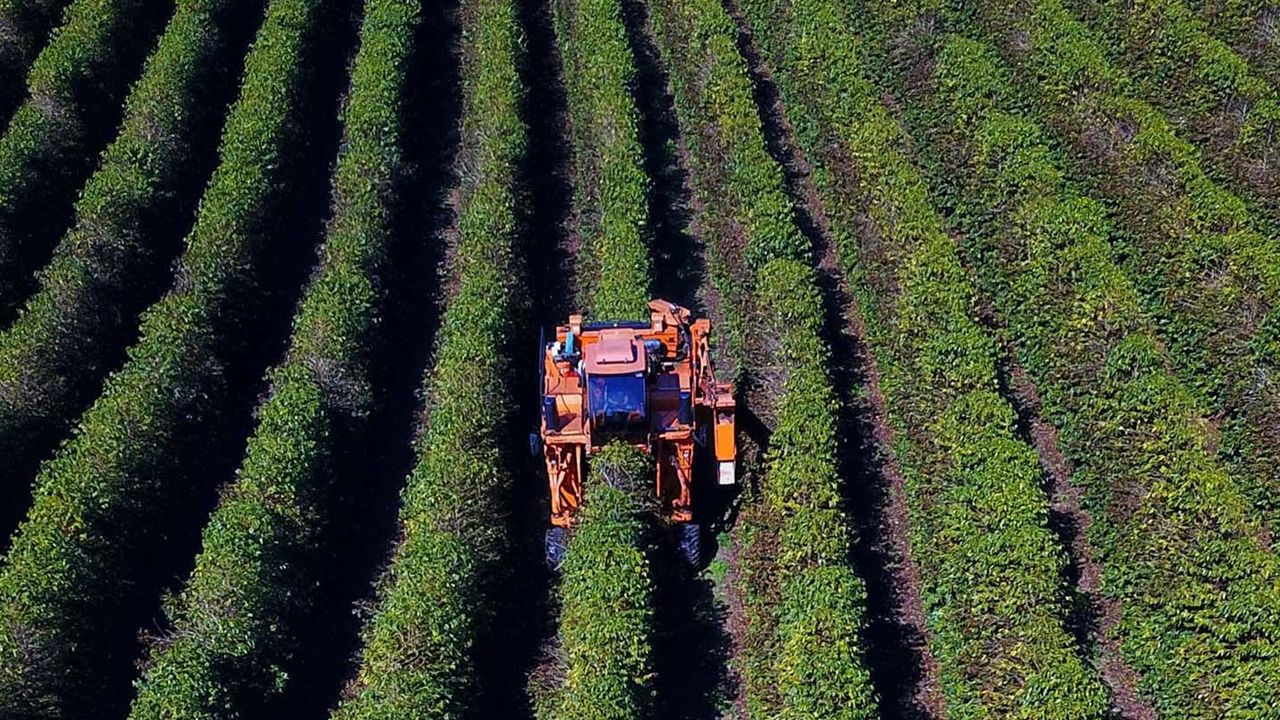Supermercado do mundo, Paraná atrai turismo agrotecnológico especializado