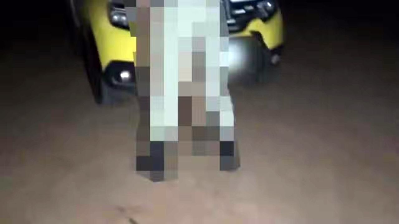 Policial militar é flagrado em cena de sex* sobre viatura e caso explode em investigação no Paraná