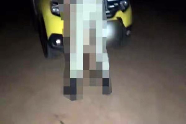 Imagem referente a notícia: Policial militar é flagrado em cena de sexo sobre viatura e caso explode em investigação no Paraná