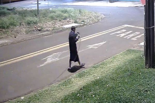 Criminosos agiram sem se importar com a movimentação de veículos e furtam cabos de telefonia no Bairro Santa Cruz em Cascavel