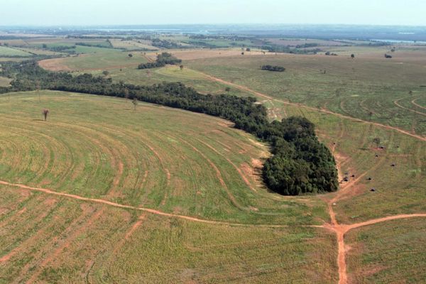 Sistema FAEP é contra negociação de terras invadidas no Oeste do Paraná