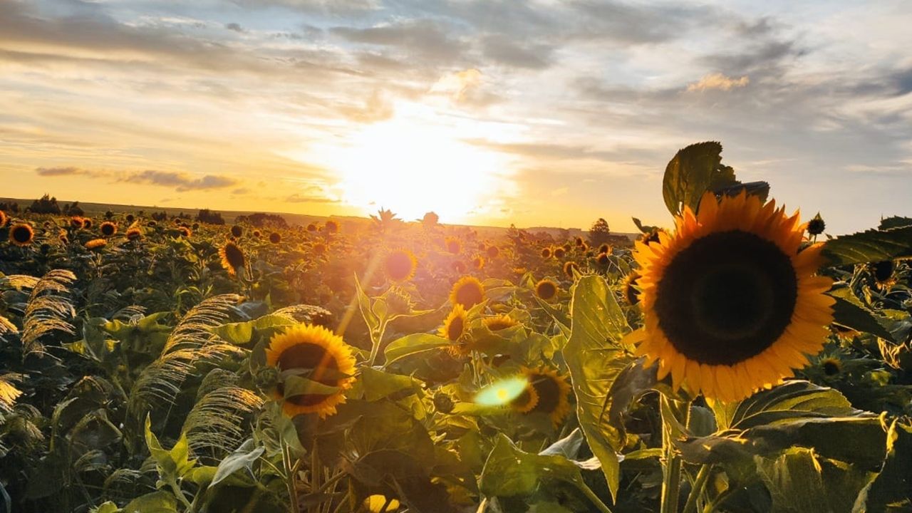 Fotoclube anuncia finalistas de concurso "Cascavel em Foto" no aniversário da cidade