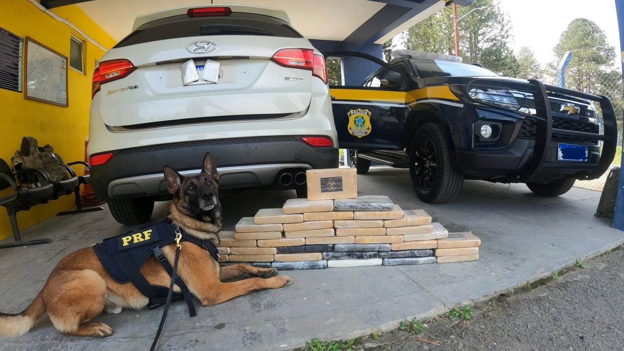 PRF encontra quase 55 kg de cocaína em carro paraguaio na BR-277