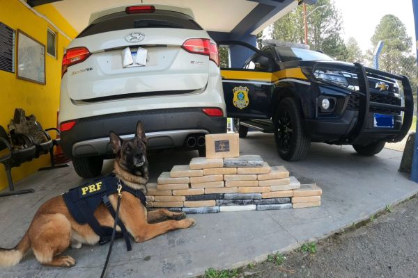 Imagem referente a notícia: PRF encontra quase 55 kg de cocaína em carro paraguaio na BR-277