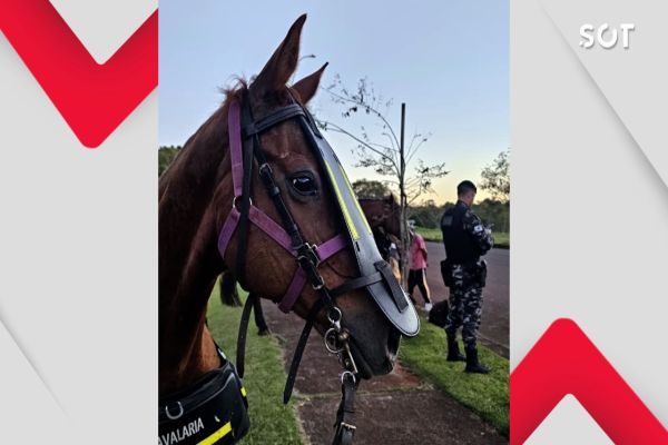 Imagem referente a notícia: Pego a galope:  Homem tenta fugir e ameaça policiais da Cavalaria com faca no lago municipal em Cascavel