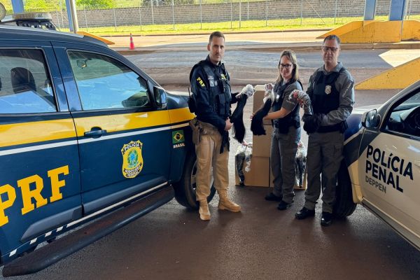 Cabelo apreendido pela PRF é destinado para projeto social em Goioerê