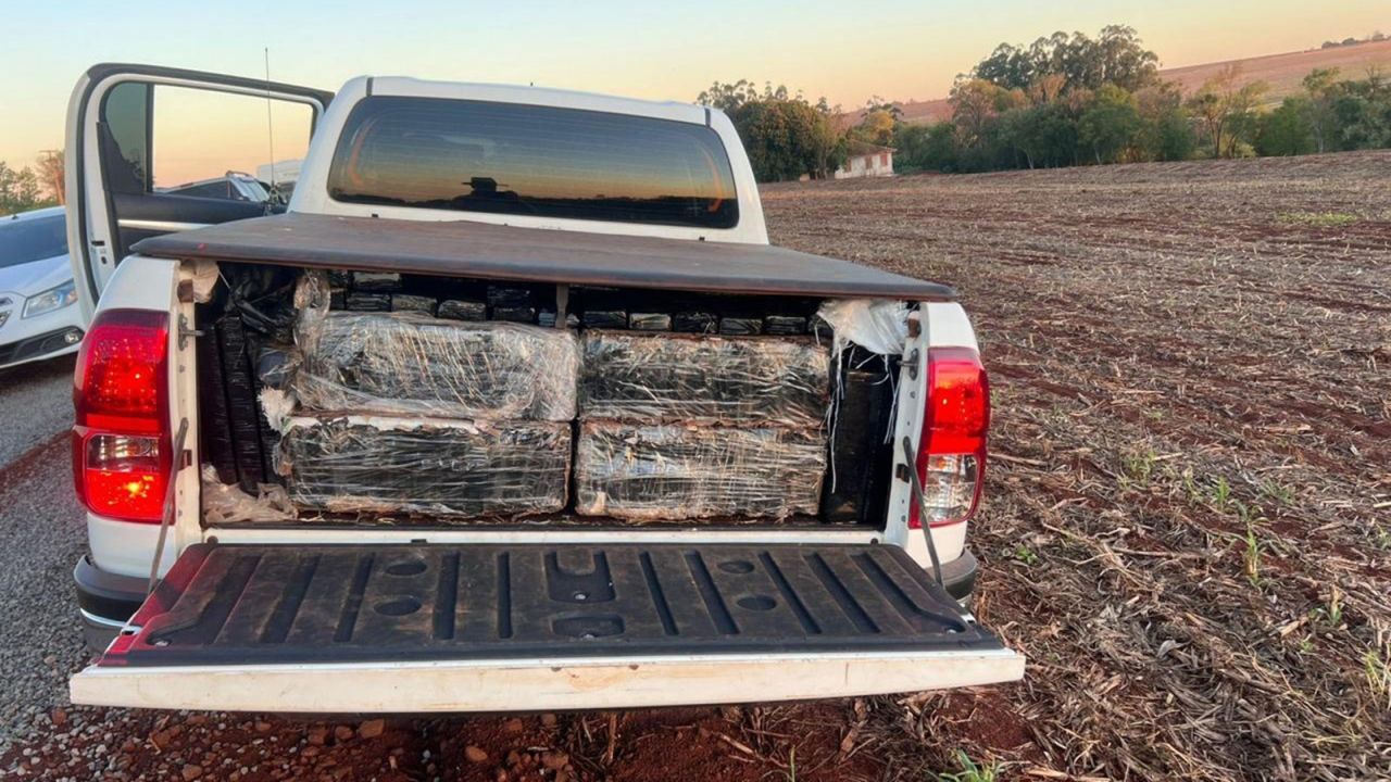 PMPR e PF apreendem mais de 1,6 tonelada de maconha em chácara em Nova Santa Rosa