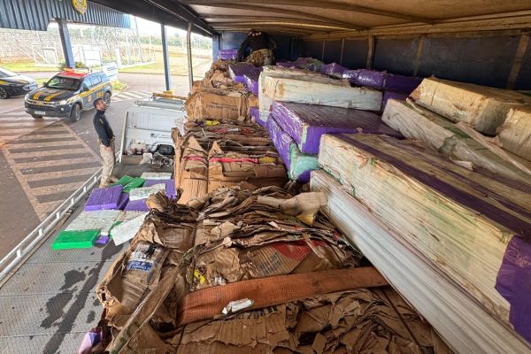 Imagem referente a notícia: Quase 3 toneladas de maconha são apreendidas em carreta com carga de papelão no Paraná