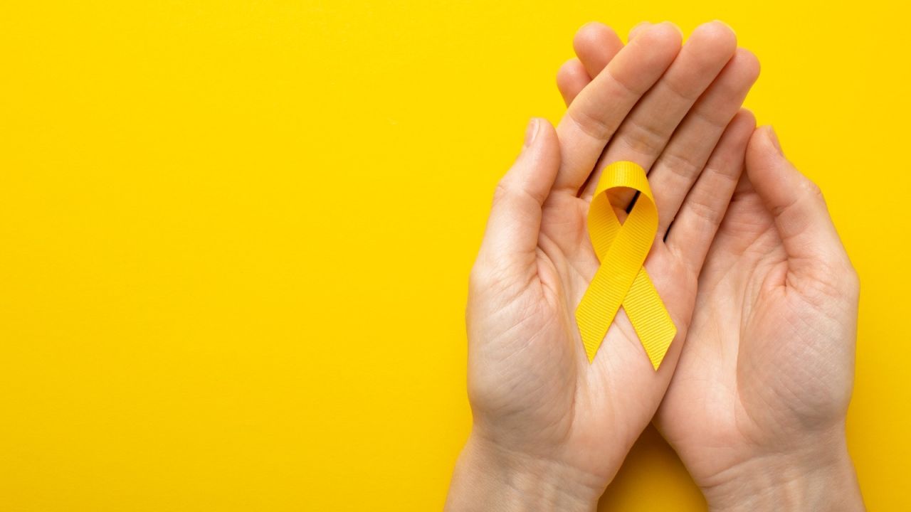 Secretaria de Saúde realiza Seminário de Promoção da Vida e Prevenção do Suicídio