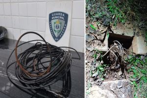 Imagem referente a notícia: Trio é preso em flagrante  pela Guarda Municipal  furtando fios na Avenida Brasil em Cascavel
