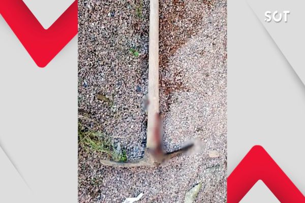 Imagem referente a notícia: Idoso é encontrado morto com picareta cravada na cabeça dentro de casa no Paraná