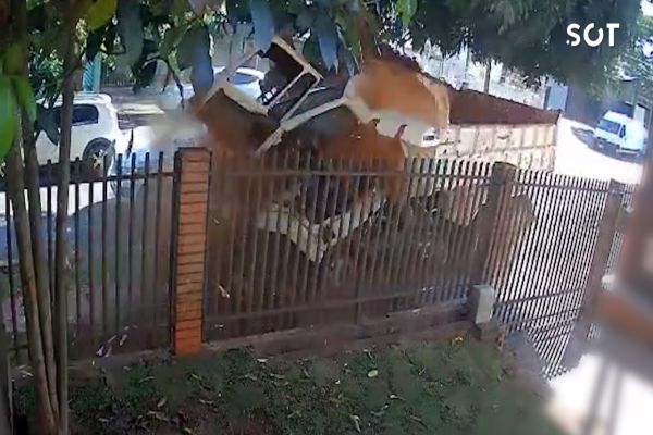 Imagem referente a notícia: Câmeras de segurança flagraram o momento em que o veículo desgovernado atingiu uma árvore no centro de Cascavel