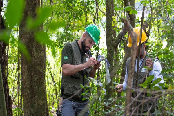 Imagem referente a notícia: Em 40 anos, Itaipu triplica a diversidade vegetal da faixa de proteção do reservatório