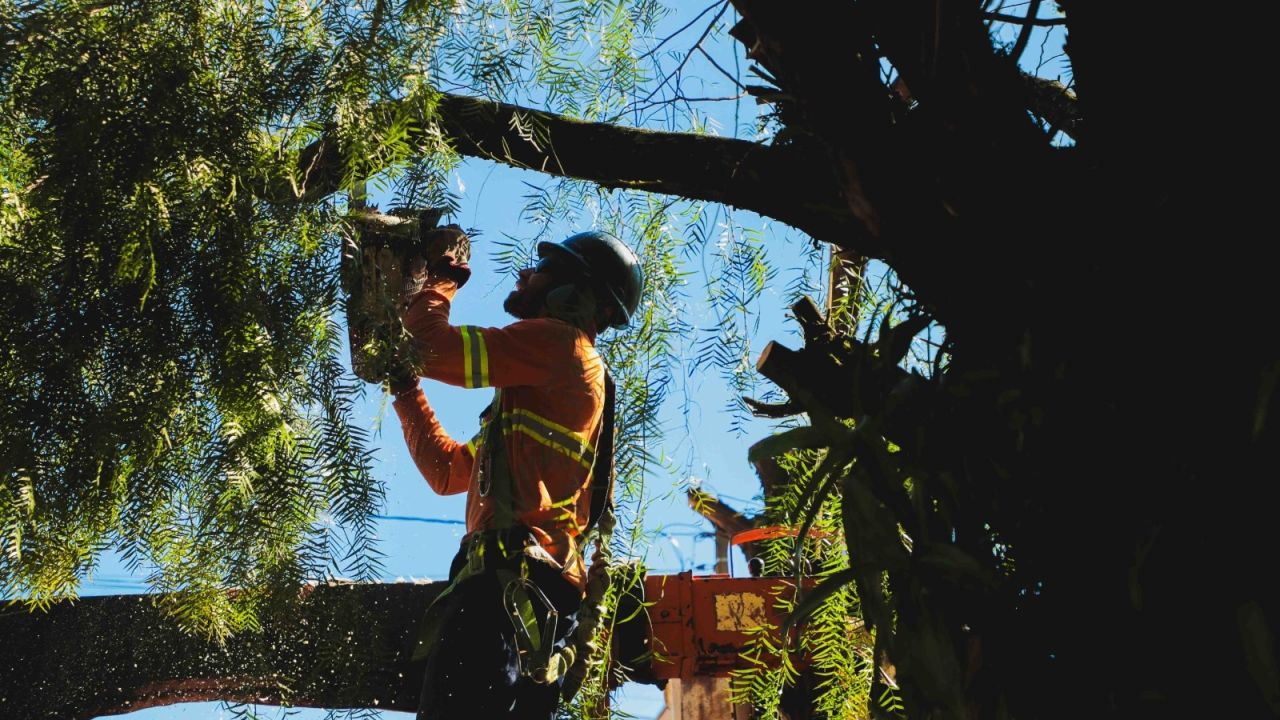 Prefeitura leva serviços gratuitos e ações de educação ambiental para comunidade do Floresta