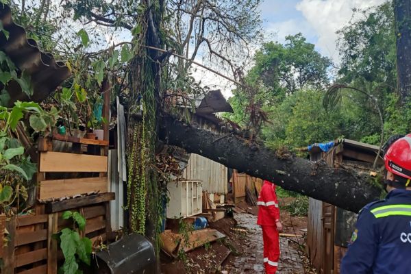 Corpo de Bombeiros do Paraná alerta sobre cuidados diante de fortes chuvas e ventos
