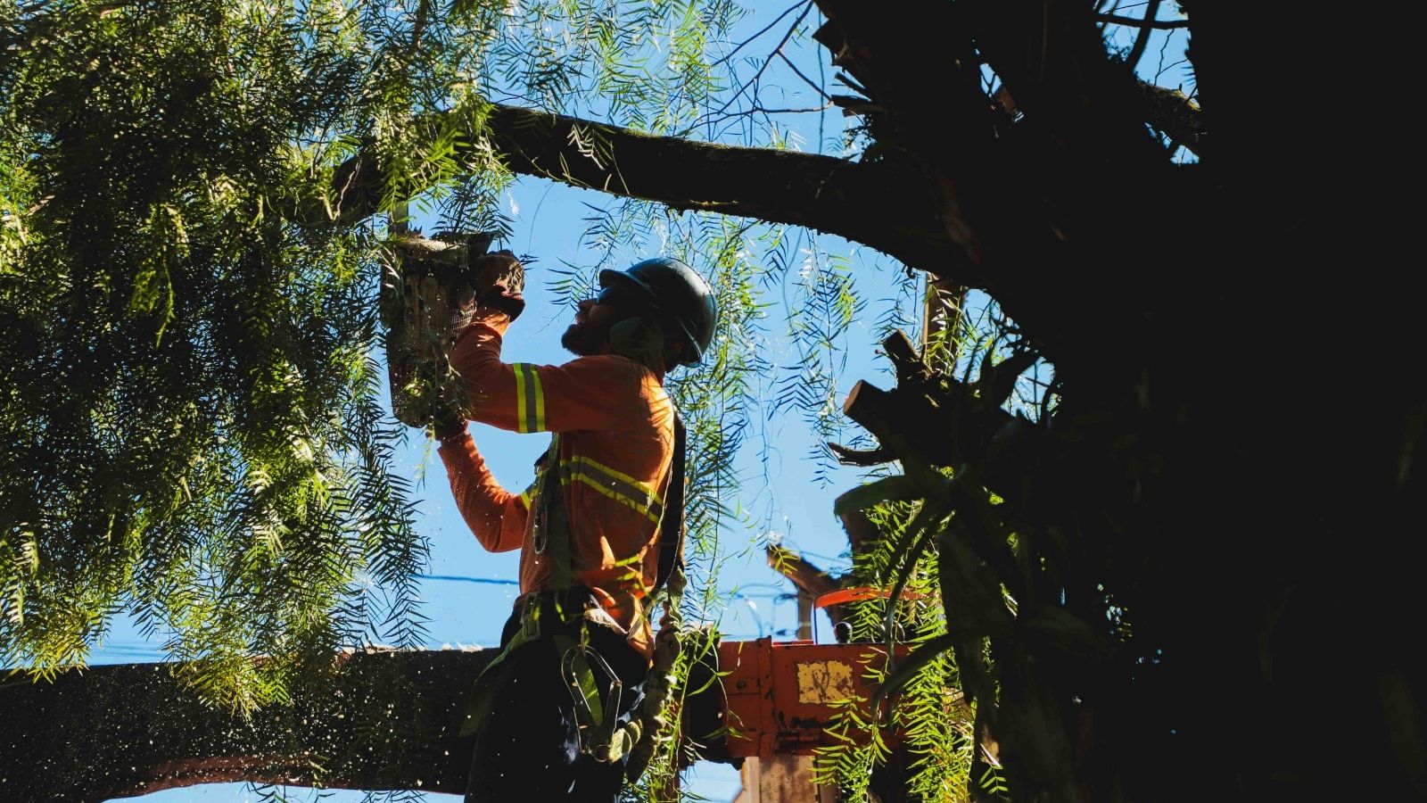Prefeitura leva serviços gratuitos e ações de educação ambiental para comunidade do Floresta
