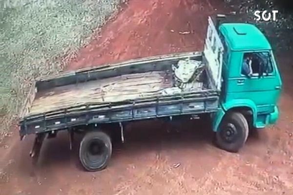 Polícia Civil investiga série de crimes em propriedades rurais de Braganey