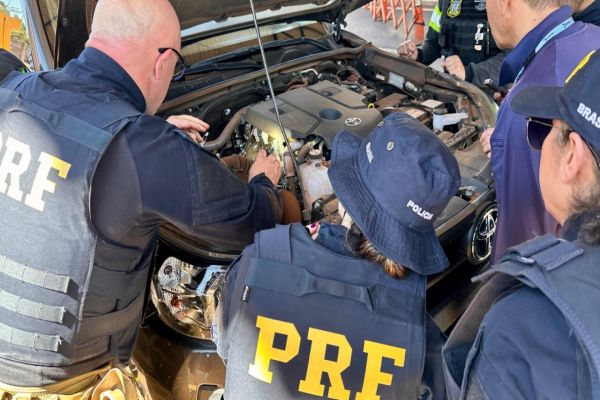PRF promove curso de enfrentamento à fraudes veiculares em Cascavel