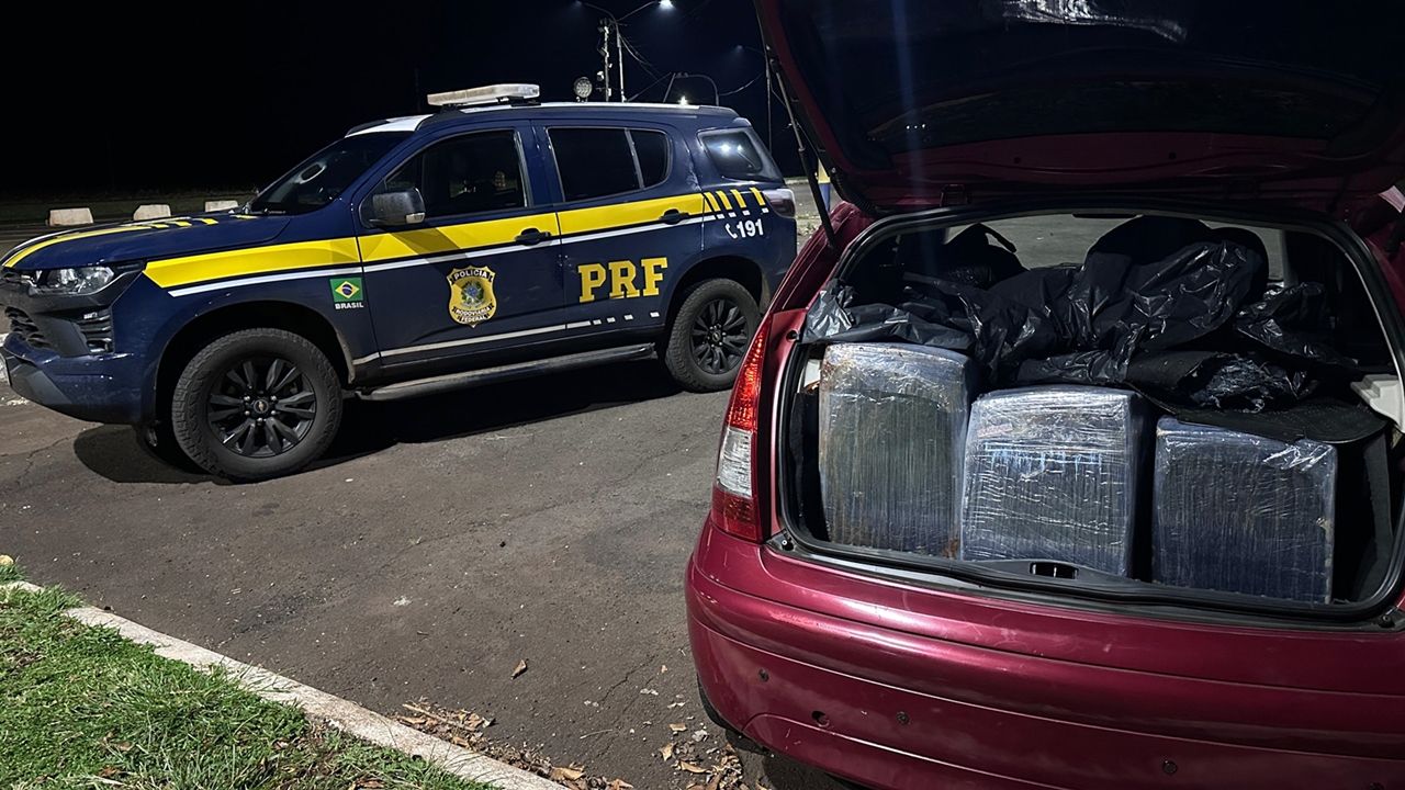 Operações na BR-277: PRF prende foragido e intercepta 416 quilos de maconha no Paraná