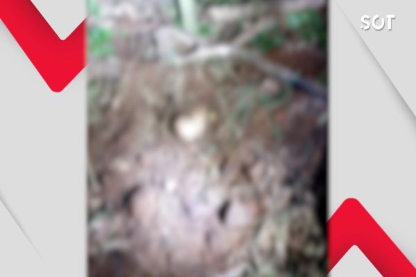 Corpo de idoso é achado em cova rasa após crime brutal no interior de Cascavel