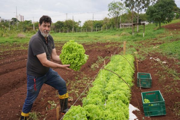 DA HORTA À MESA | Prefeitura de Cascavel planta alimentos que enriquecem cardápio da Cozinha Social do Provopar