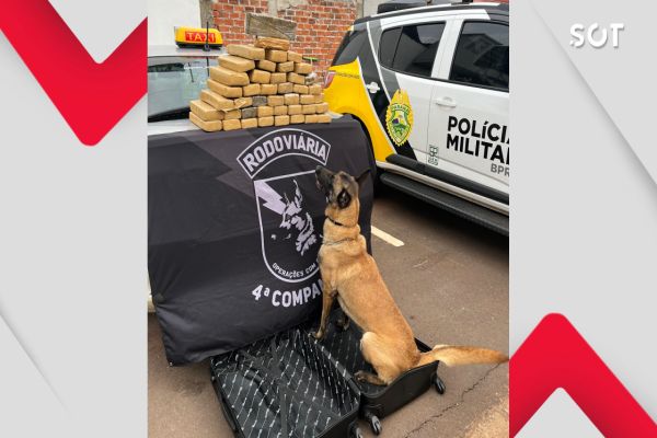 Imagem referente a notícia: Cães farejadores desmascaram mala recheada de drogas na PR-323 em Perobal