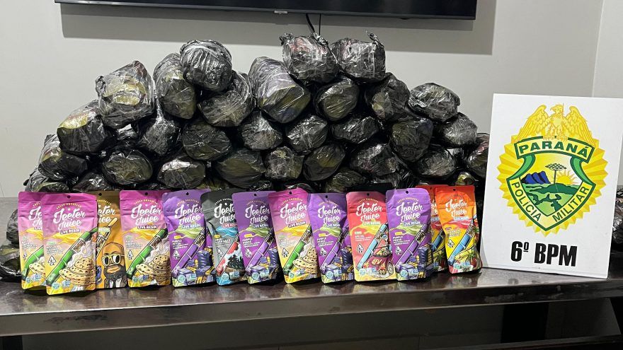 Mulher é detida com 680 cigarros eletrônicos de cannabis em ônibus que seguia para Curitiba