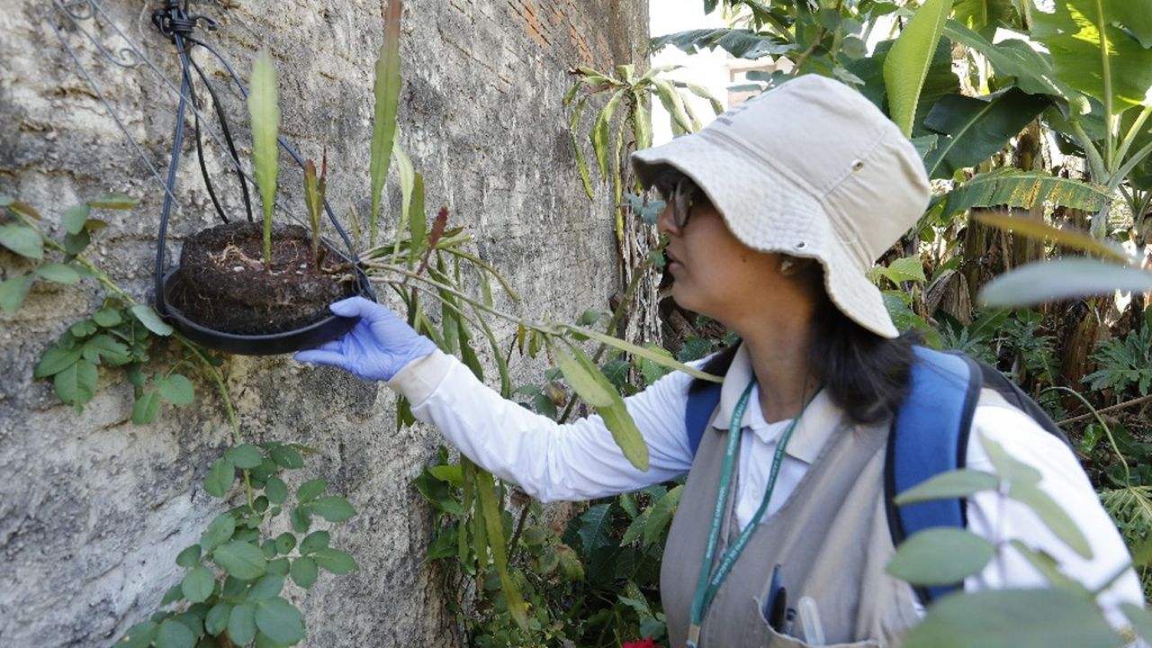 4° LIRAa | Saúde visitará cerca de 5 mil imóveis para levantamento de índice de infestação do mosquito Aedes Aegypti em Cascavel