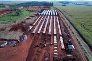 Imagem referente a notícia: Vereador solicita informações detalhadas sobre usina fotovoltaica de Cascavel