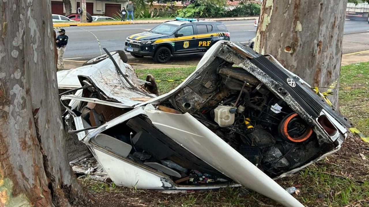 Condutor morre após colisão contra árvore na BR-369 no Paraná