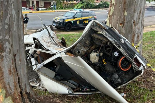 Condutor morre após colisão contra árvore na BR-369 no Paraná