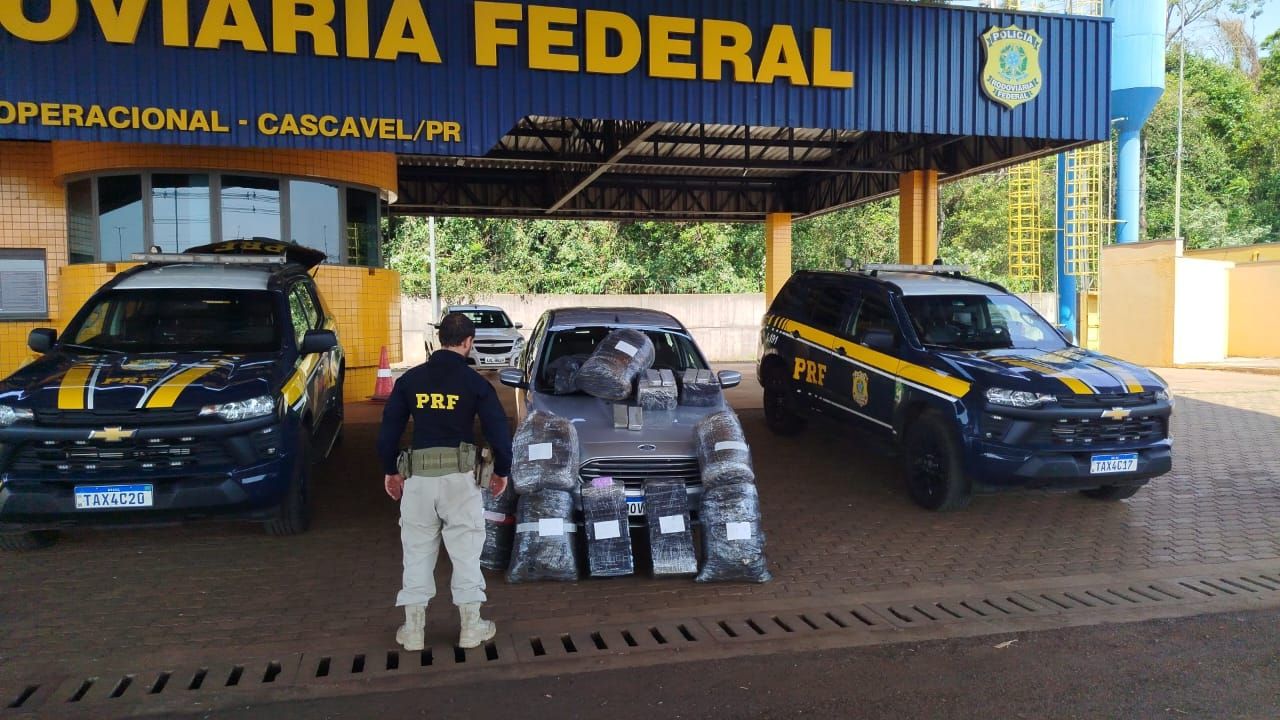 Domingo de apreensões: PRF intercepta mais de 178 kg de drogas na BR-277, em Cascavel