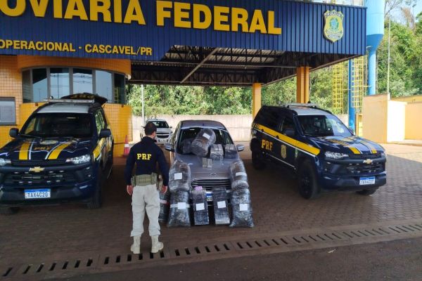 Domingo de apreensões: PRF intercepta mais de 178 kg de drogas na BR-277, em Cascavel