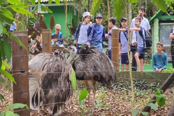 Zoológico de Cascavel celebra Semana das Crianças com programação especial para escolas