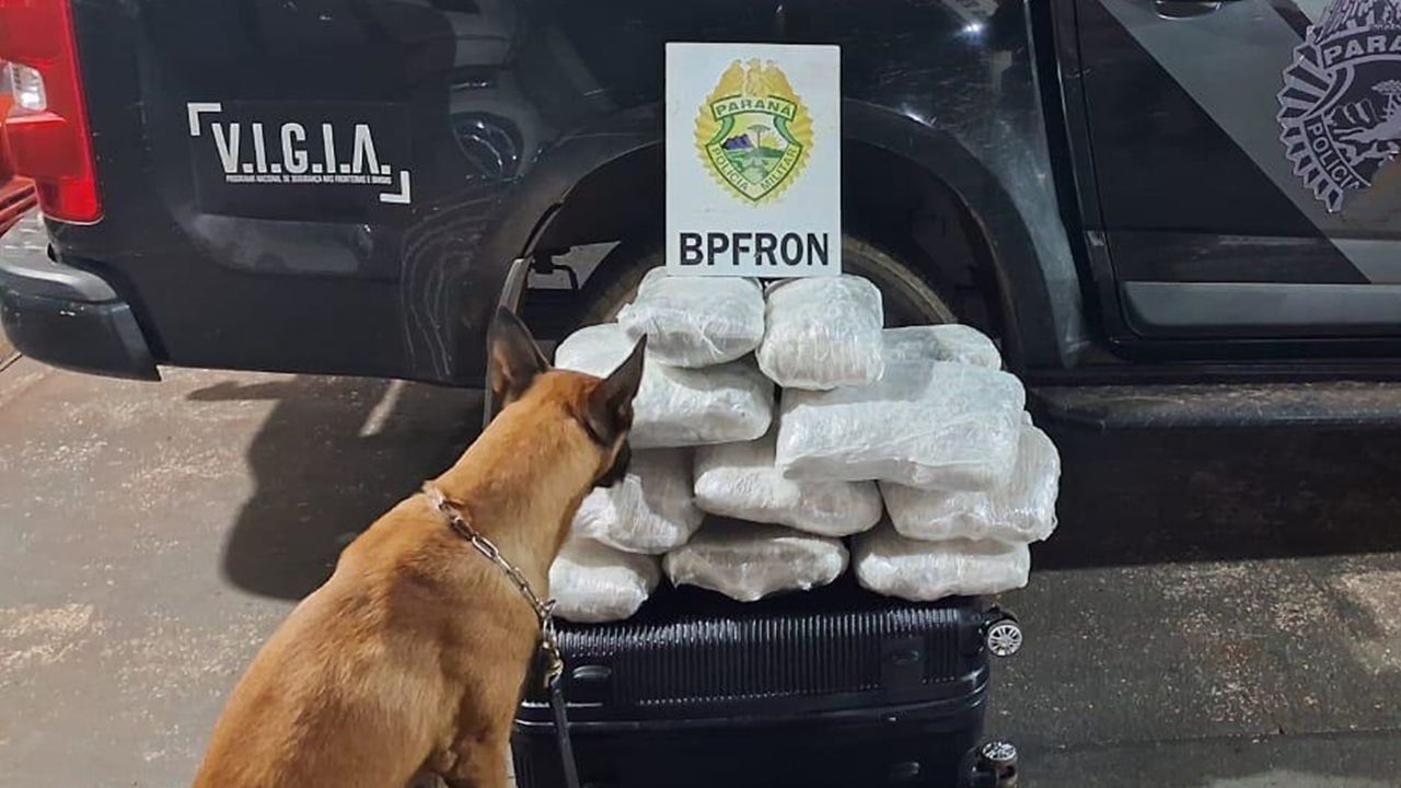 Cão farejador ajuda BPFRON a descobrir mais de 16 quilos de maconha escondidos em ônibus interestadual