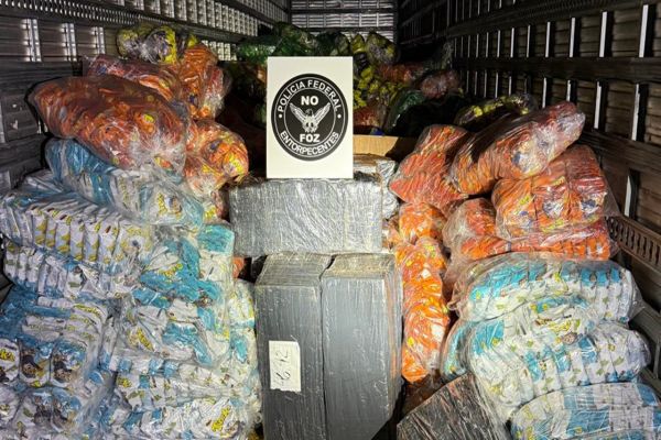 Imagem referente a notícia: Mais de 1 tonelada de maconha é flagrada escondida em carga de salgadinhos na BR-277