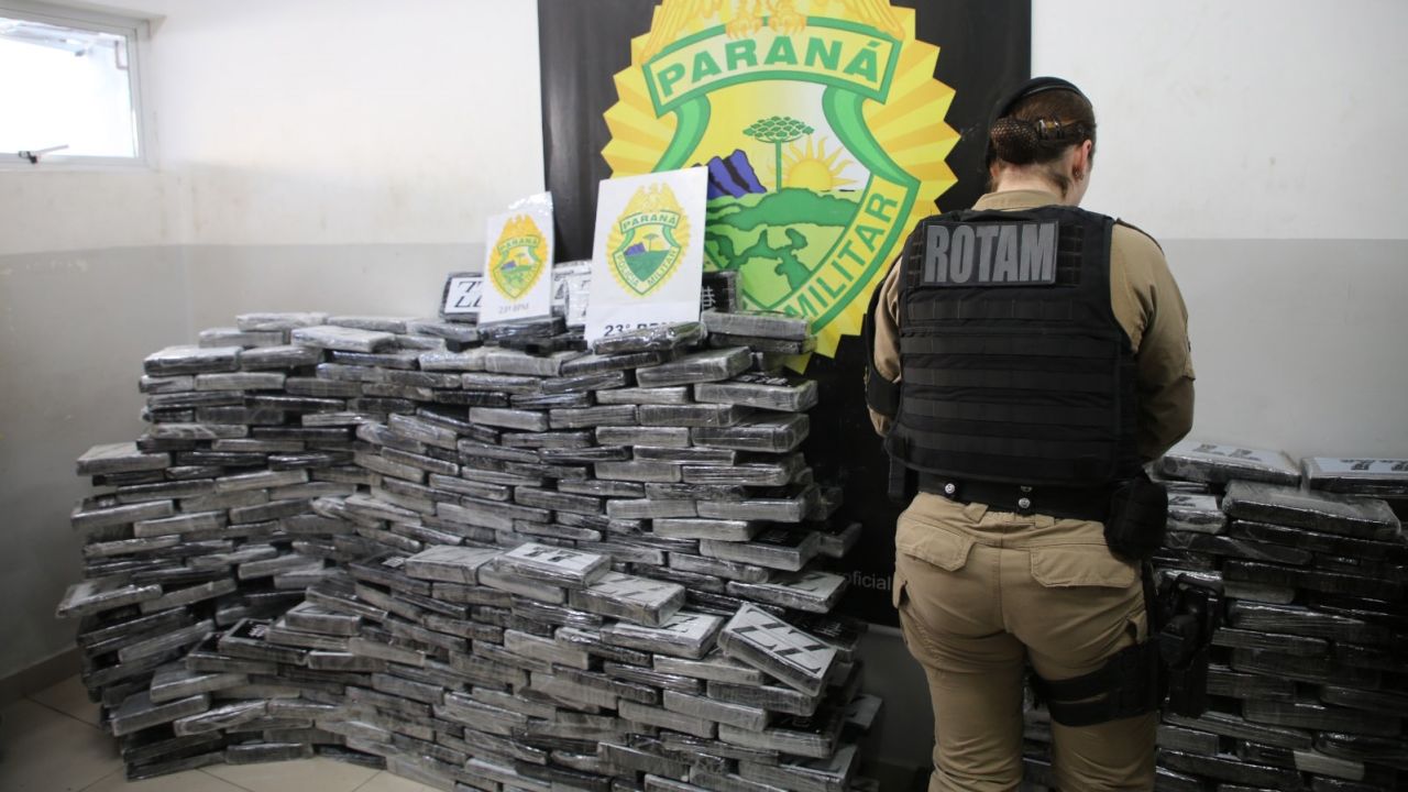 Paraná é o estado que mais apreendeu maconha no Brasil em 2025