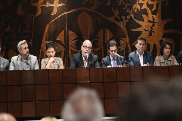 Imagem referente a notícia: Estado apresenta panorama de atendimento em audiência sobre intoxicação por metanol