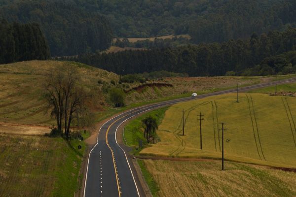 EPR Iguaçu inicia processo de regularização de áreas de plantio localizadas às margens das rodovias