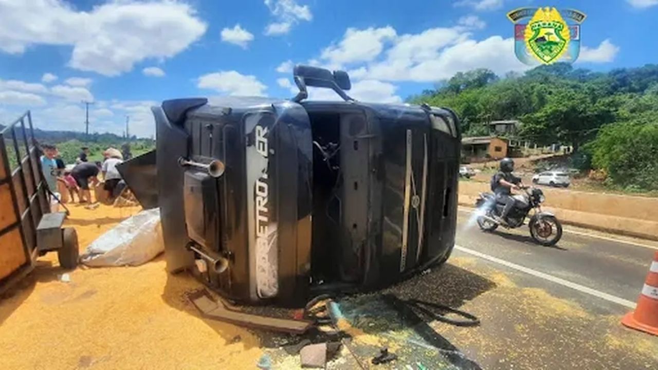 Caminhão tomba na PR-445 e moradores saqueiam carga de milho no norte do Paraná