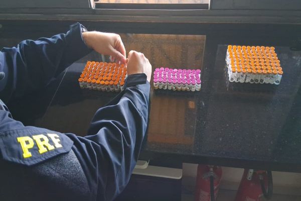 Imagem referente a notícia: PRF flagra transporte clandestino de produtos para emagrecimento escondidos em carro na BR-277
