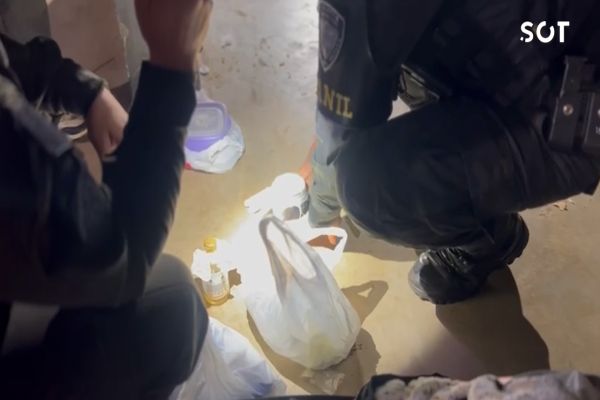 Imagem referente a notícia: Cão farejador desmascara truque com café e ajuda a flagrar droga em ônibus no Terminal de Cascavel