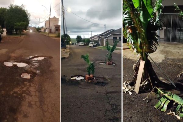 Imagem referente a notícia: Moradores do Jardim Veneza improvisam sinalização para alertar motoristas sobre buracos na via e cobram ação do poder público