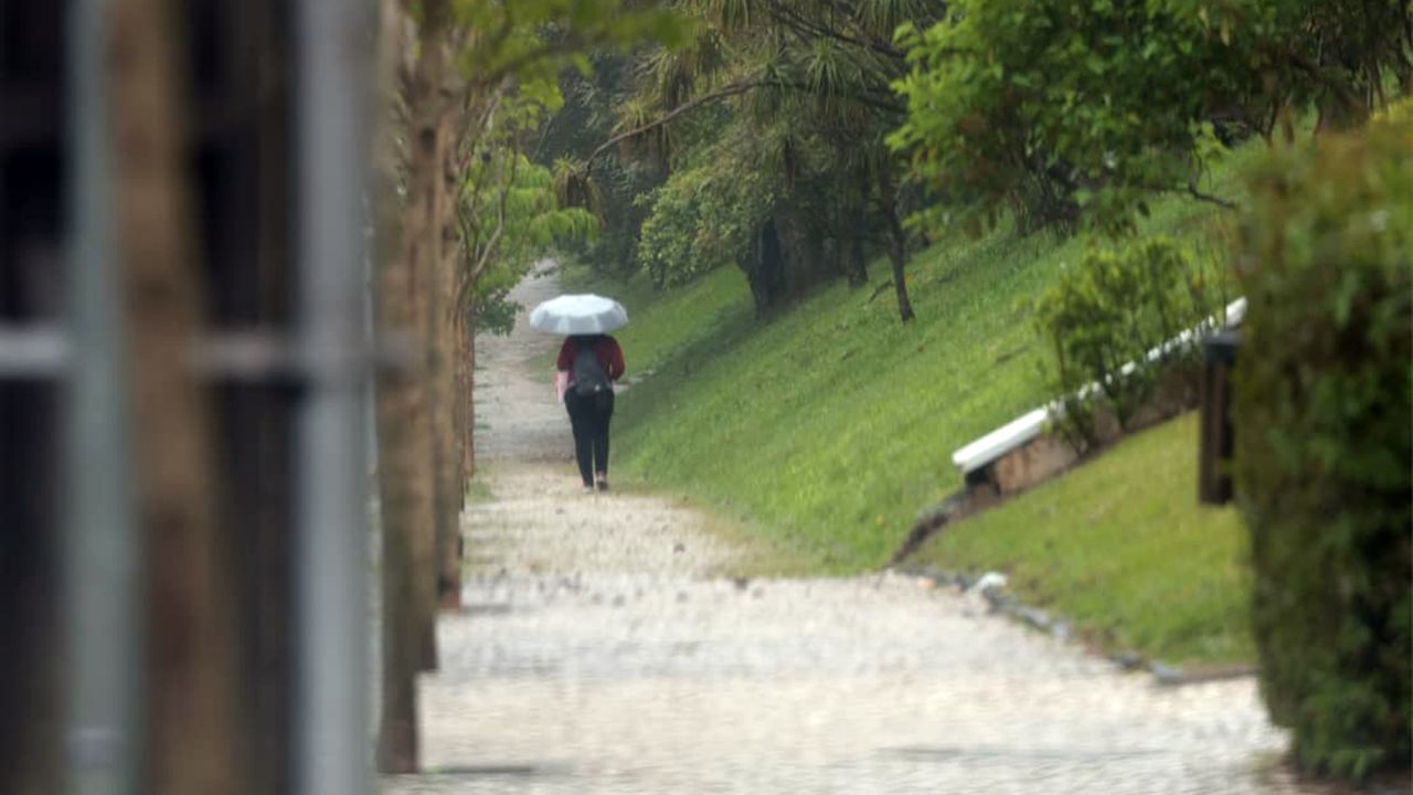 Frio fora de época: outubro registrou até 2°C abaixo da média histórica no Paraná