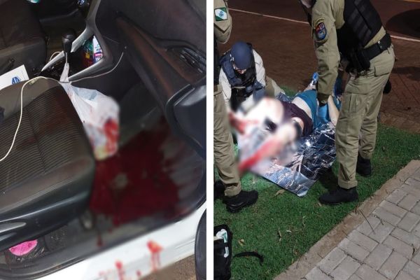 Imagem referente a notícia: Cães escapam de residência e atacam pedestres no bairro Recanto Tropical em Cascavel; Tutor é responsabilizado