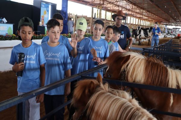 Imagem referente a notícia: Crianças da Rede Municipal visitam minifazendinha da Expovel e participam de atividades pedagógicas