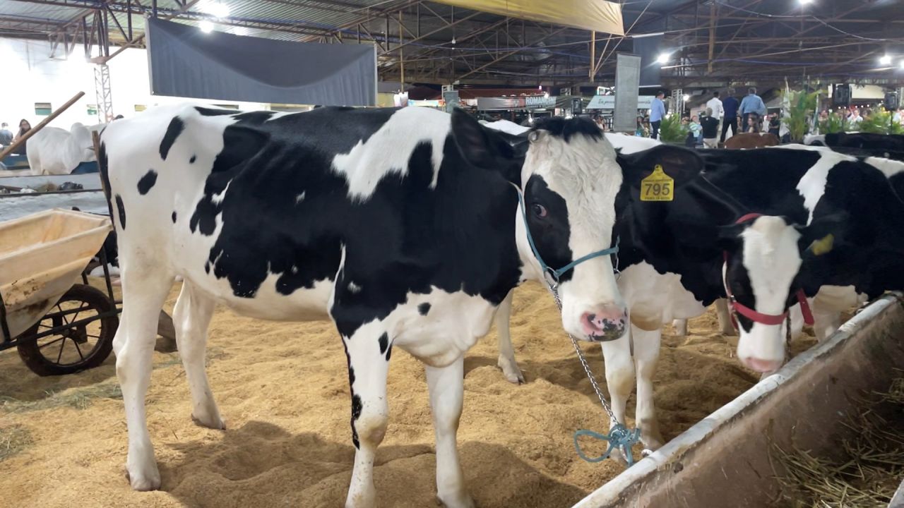 44ª Expovel sedia encontro de produtores de leite