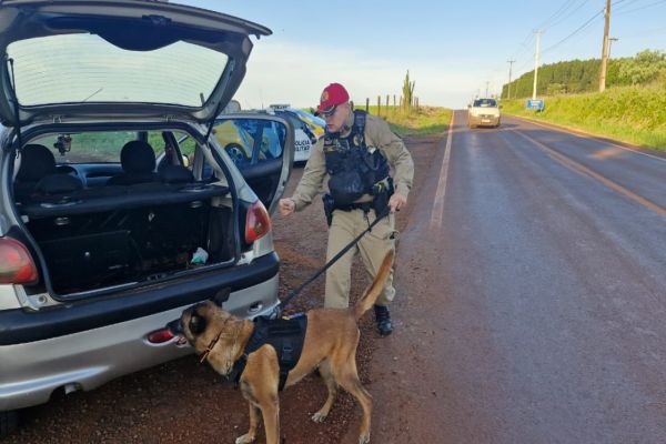 Operação Sinergia IV apreende mercadorias ilegais durante fiscalização em rodovias do Oeste do Paraná